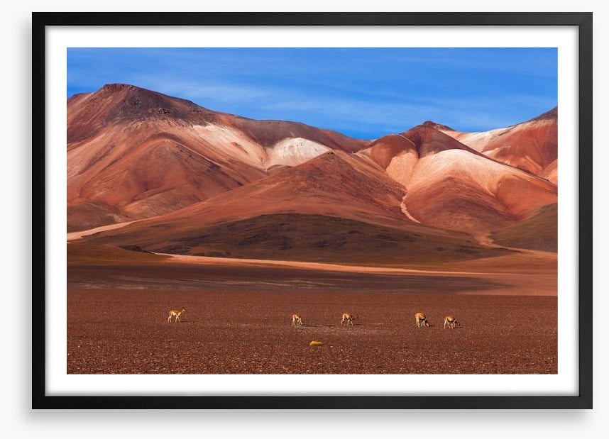 Desert