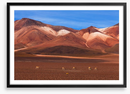 Desert