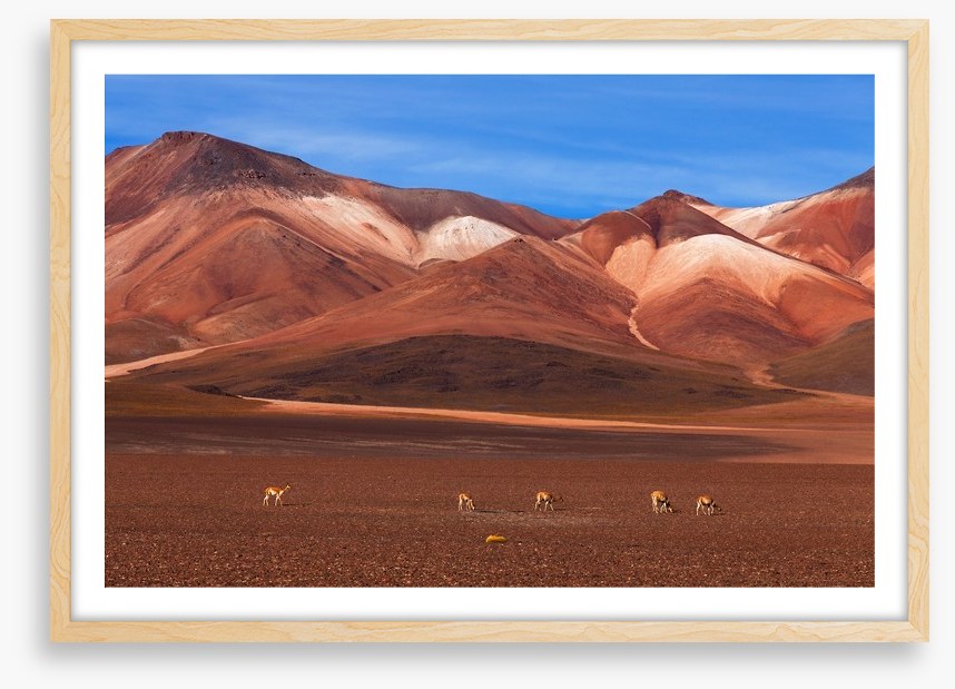 Desert