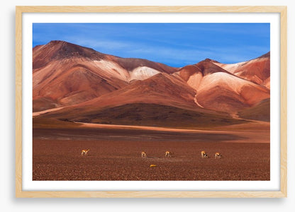 Desert