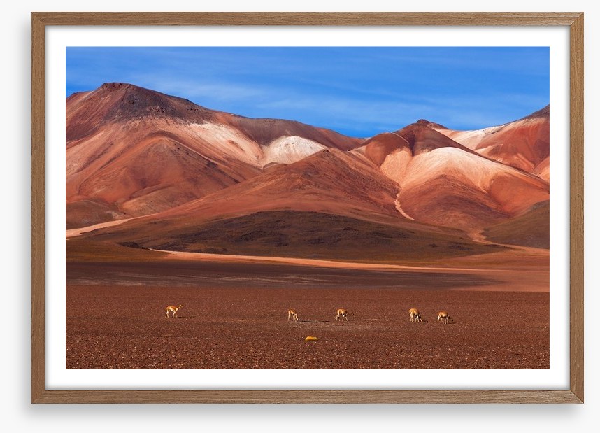 Desert