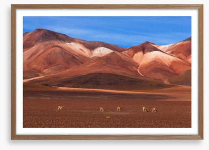 Desert