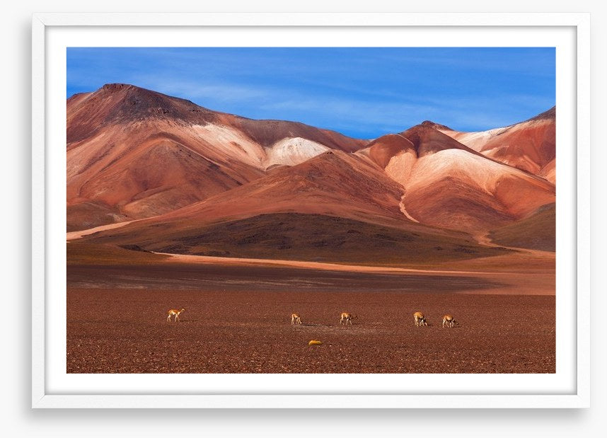 Desert