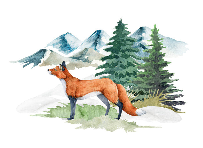 Mountain fir fox