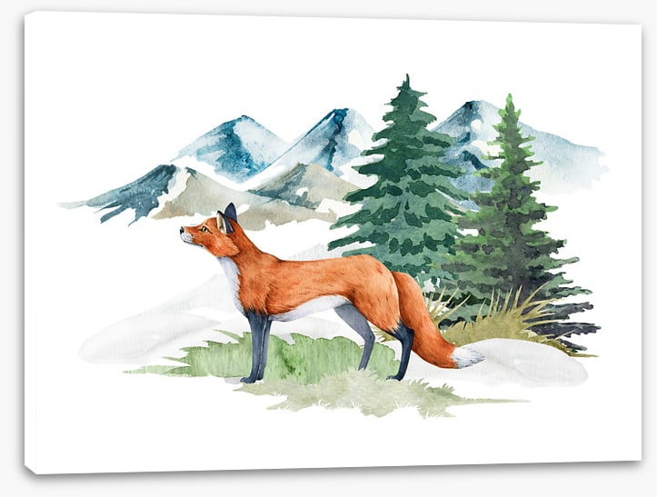 Mountain fir fox