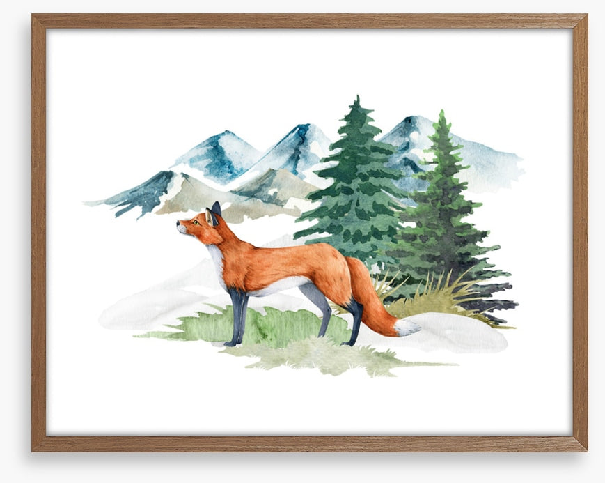 Mountain fir fox