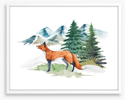 Mountain fir fox