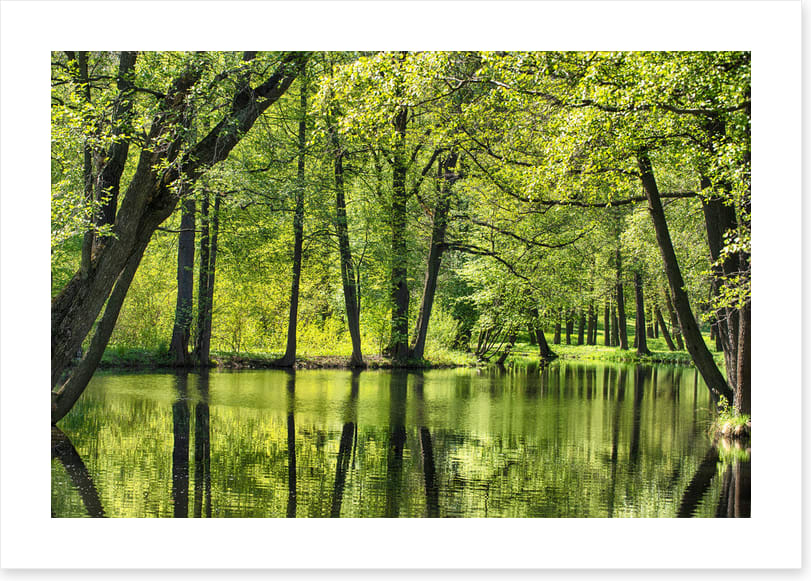 Green all over