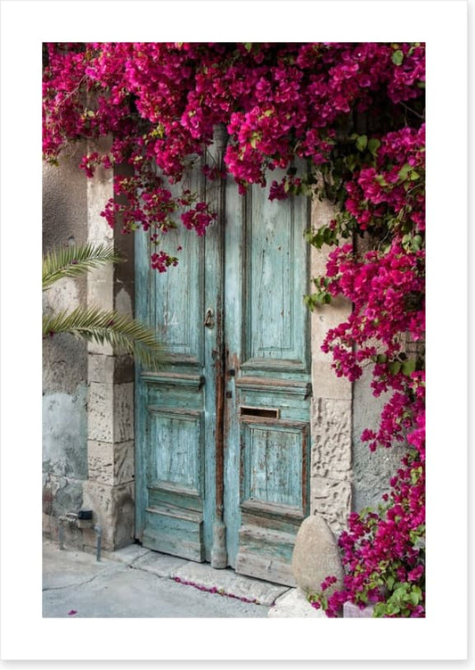 Old wooden door with bougainvillea