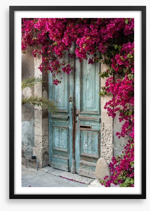 Old wooden door with bougainvillea