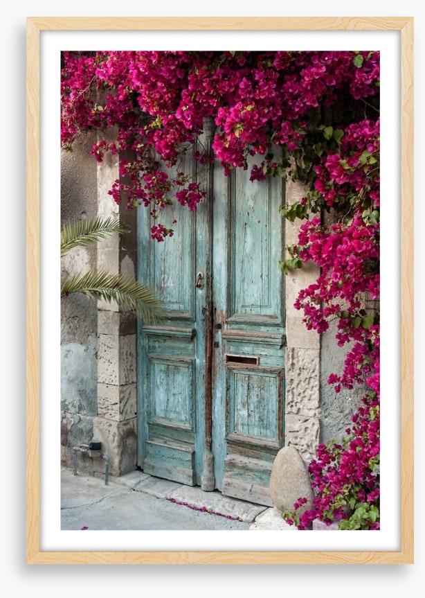 Old wooden door with bougainvillea
