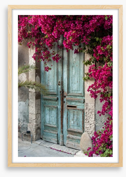 Old wooden door with bougainvillea