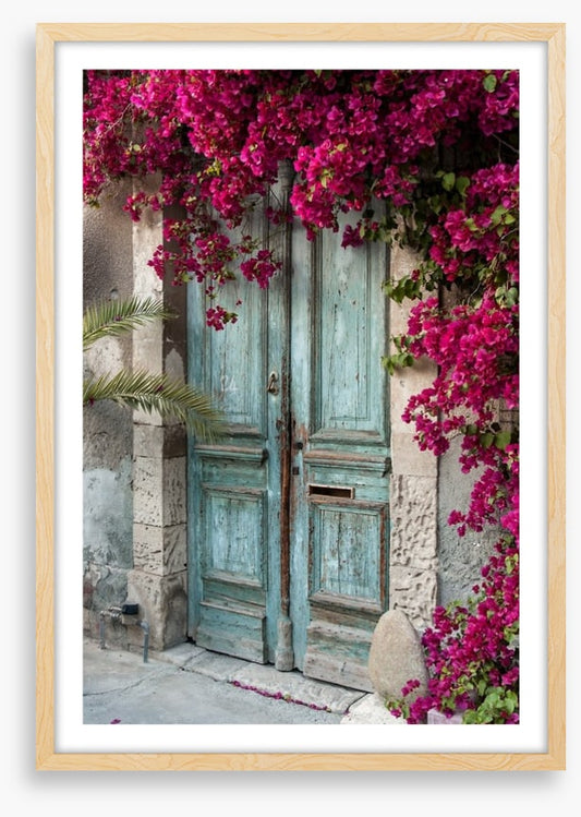 Old wooden door with bougainvillea