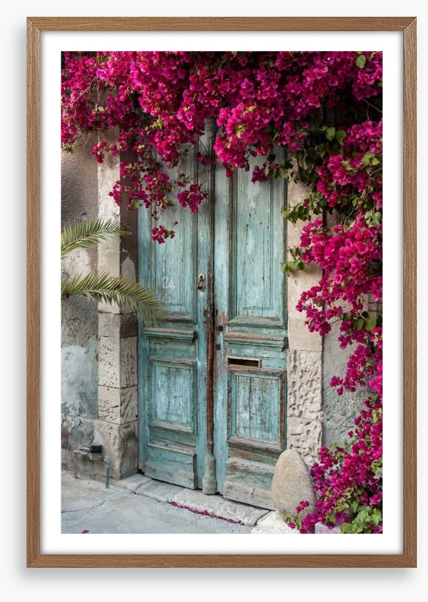 Old wooden door with bougainvillea