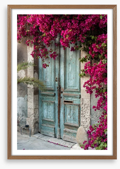 Old wooden door with bougainvillea