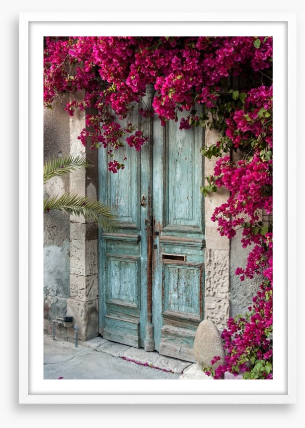 Old wooden door with bougainvillea