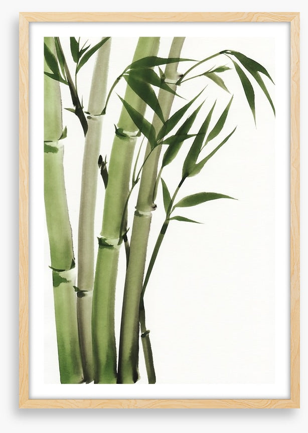 Elegant bamboo