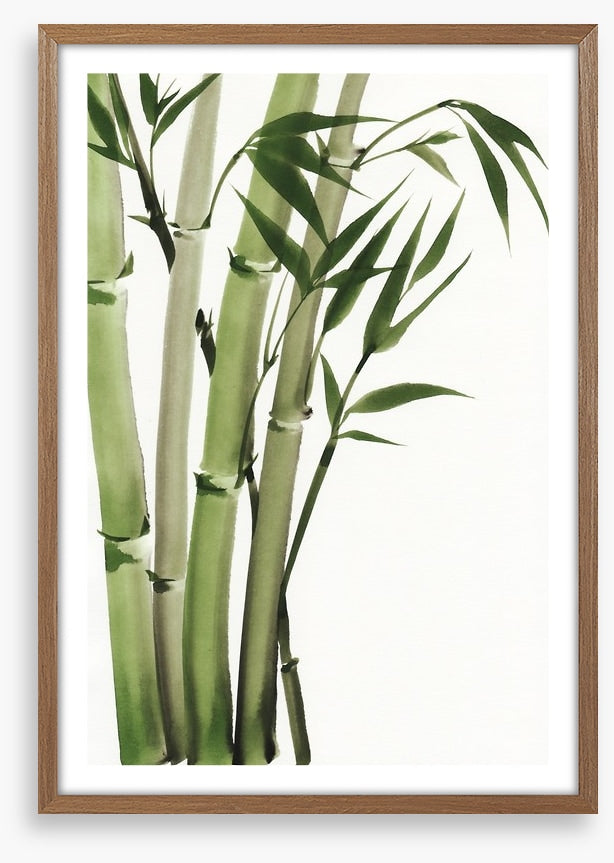 Elegant bamboo