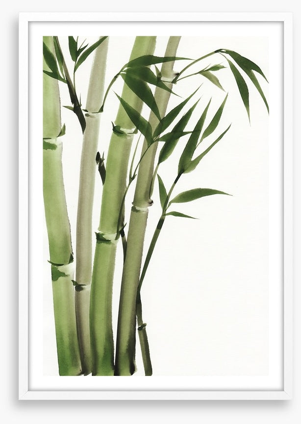 Elegant bamboo