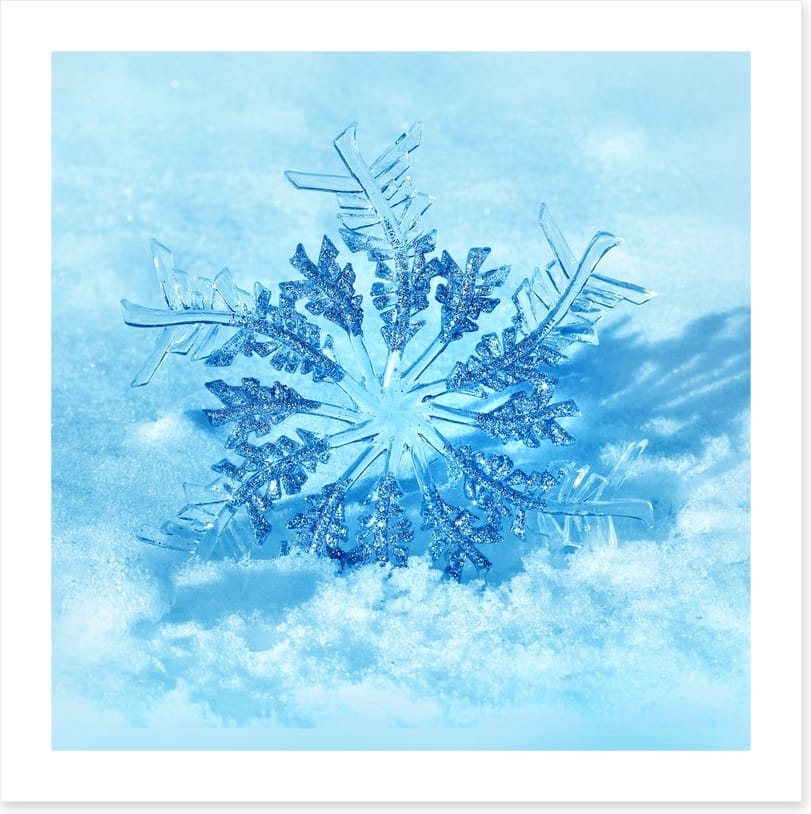 Frozen flake