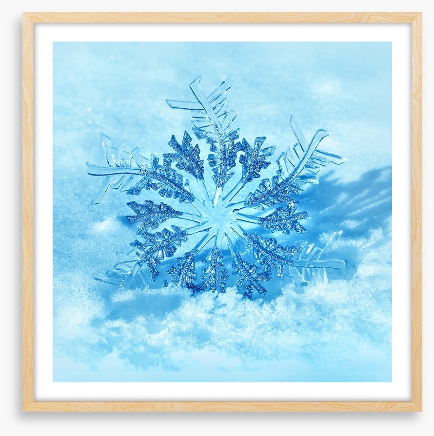 Frozen flake