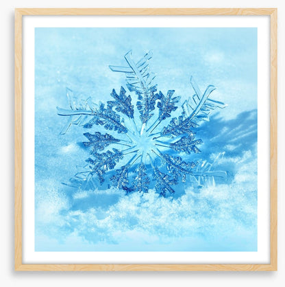 Frozen flake