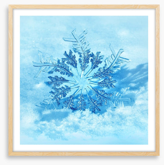 Frozen flake