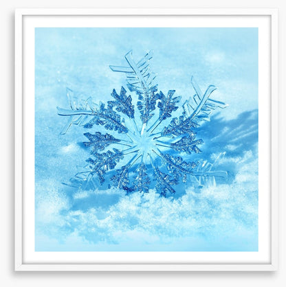 Frozen flake