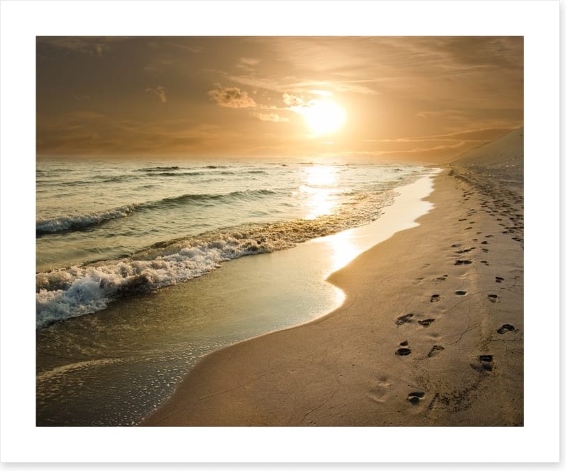 Golden sunset on the shore