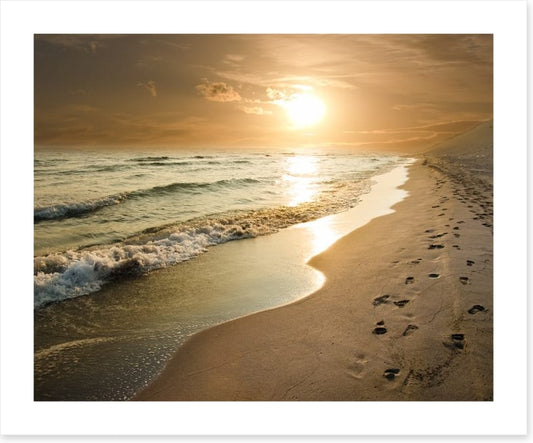Golden sunset on the shore