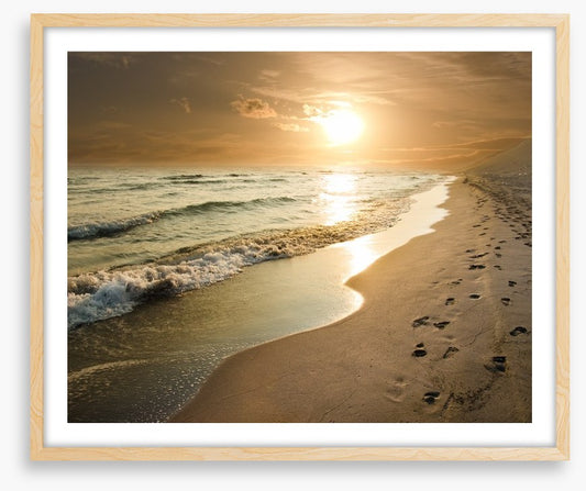 Golden sunset on the shore