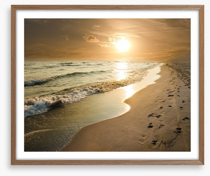 Golden sunset on the shore