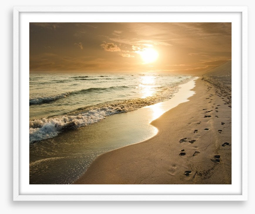 Golden sunset on the shore