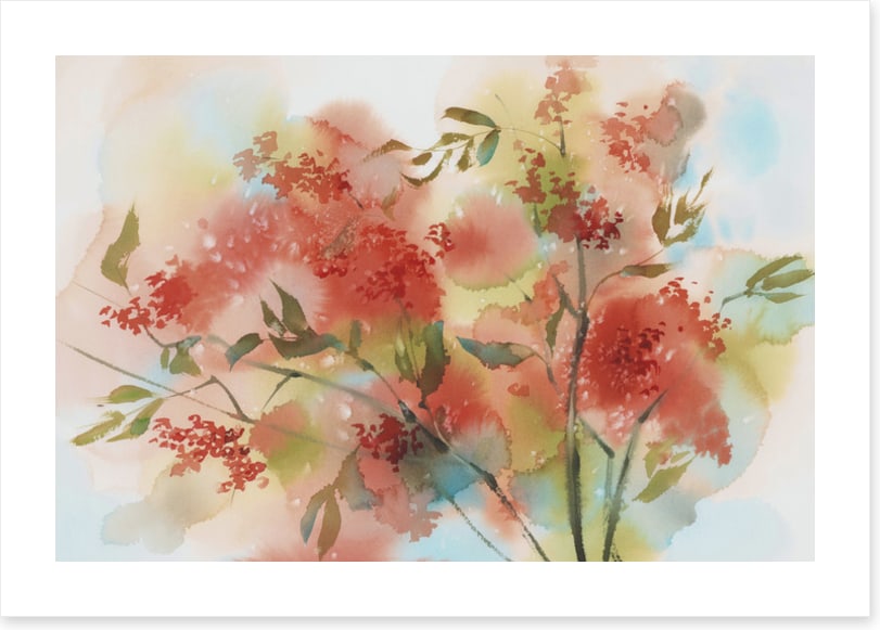 Rowan berry aquarelle