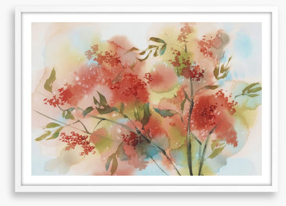 Rowan berry aquarelle