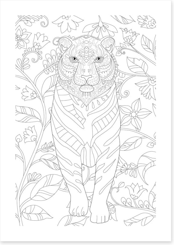 Colour me tiger