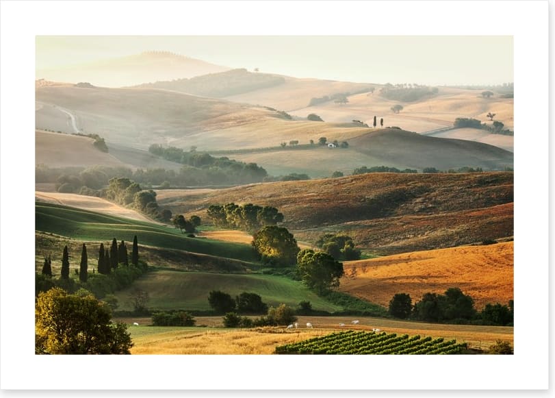 Tuscany unfolding