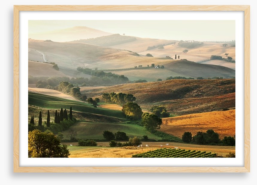 Tuscany unfolding