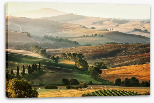 Tuscany unfolding