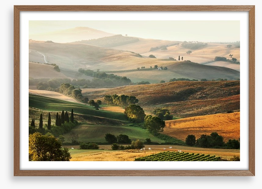Tuscany unfolding