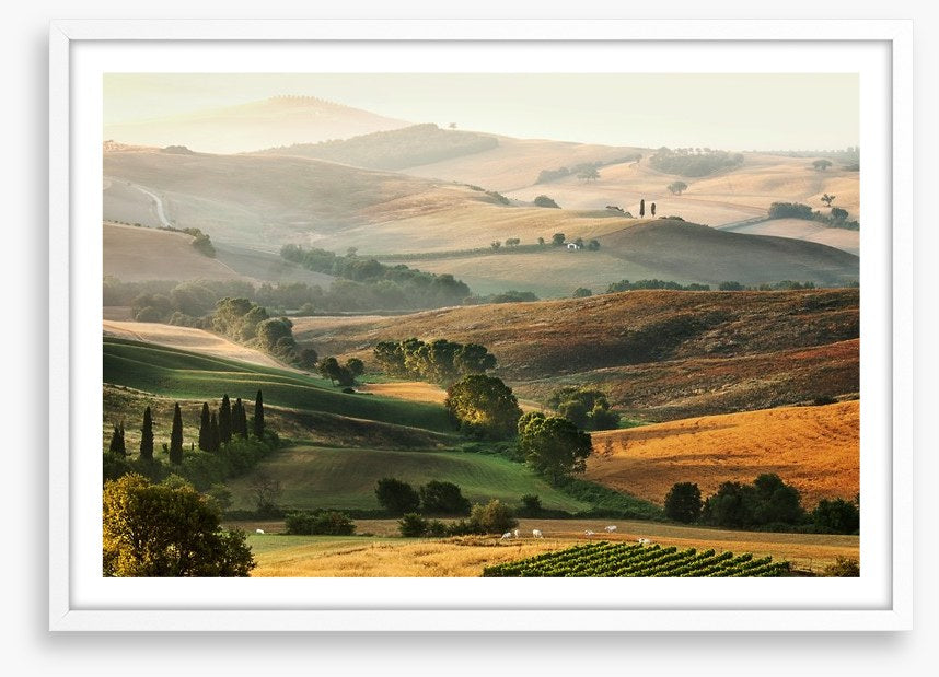 Tuscany unfolding