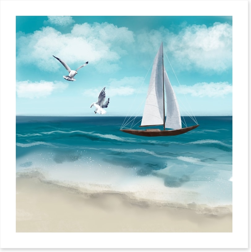 Seagull sail