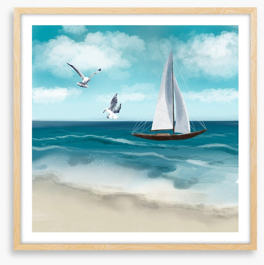 Seagull sail