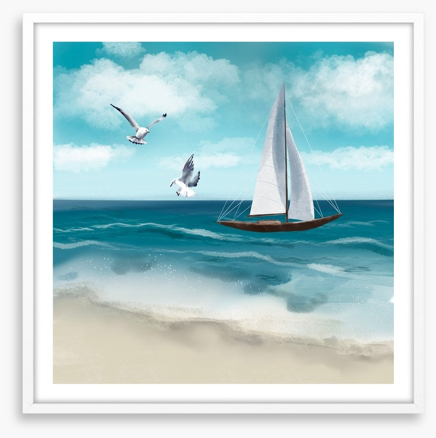 Seagull sail