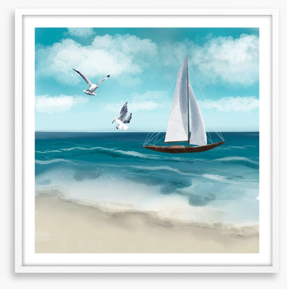 Seagull sail