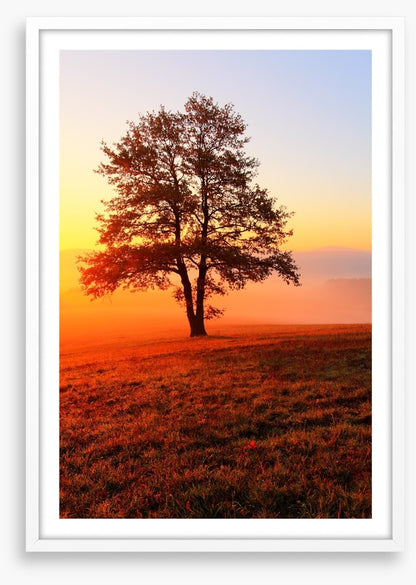 Trees