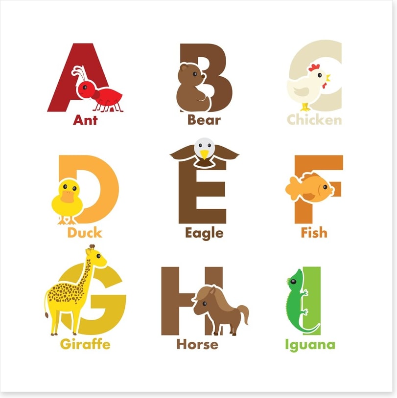 Alphabet and Numbers