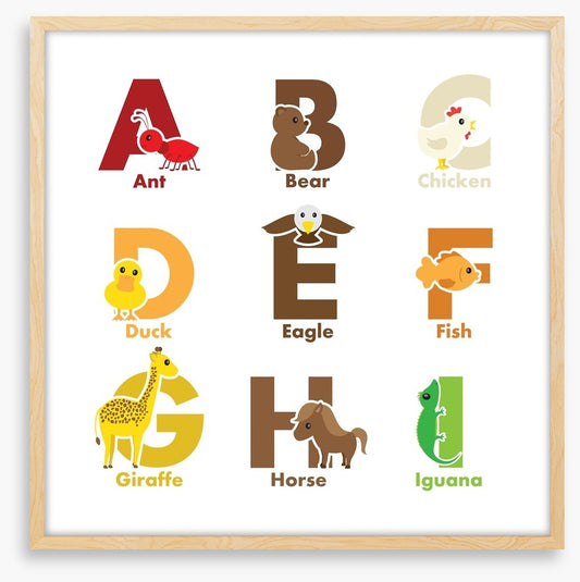 Alphabet and Numbers