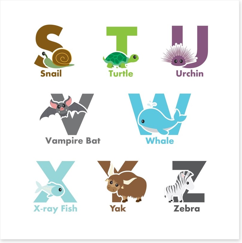 Alphabet and Numbers