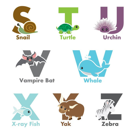 Alphabet and Numbers